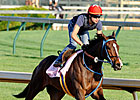 Jody Slew Works Half-Mile at Churchill Jody Slew Works Half-Mile at Churchill