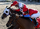 Jody Slew Gets Up To Score Silverbulletday