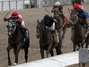 Oaks-Bound: Jody Slew Reaching for the Lilies Oaks-Bound: Jody Slew Reaching for the Lilies