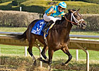 Joe Vann Trucks to Easy Illinois Derby Win Joe Vann Trucks to Easy Illinois Derby Win