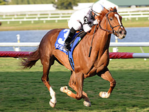 Joes Blazing Aaron Surprises in Palm Beach