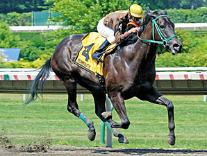 Joey P. Headlines Charles Town Dash Joey P. Headlines Charles Town Dash