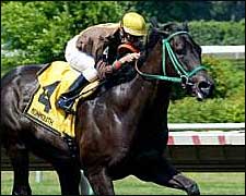 Unbeaten Joey P. Breaks Jersey Shore Mark Unbeaten Joey P. Breaks Jersey Shore Mark