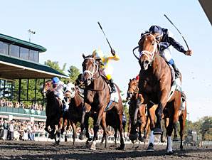 Grade I Winner Joha to Return in Hill Prince Grade I Winner Joha to Return in Hill Prince