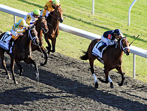 Connections Plan to Race Joha this Summer Connections Plan to Race Joha this Summer
