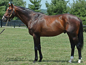 Millionaire Johar's First Winner Millionaire Johar's First Winner