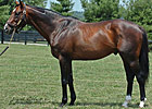 Millionaire Johar's First Winner