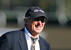 Trainers' Reflections on Breeders' Cup