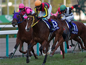 Buena Vista's Half Sister Takes Hanshin Title Buena Vista's Half Sister Takes Hanshin Title