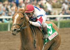 Joint Effort Leaves 'Tour Behind in Millions Distaff Joint Effort Leaves 'Tour Behind in Millions Distaff