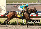 Jo Jo Warrior Helps Zayat Celebrate Birthday Jo Jo Warrior Helps Zayat Celebrate Birthday