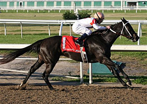 Fair Grounds Winners Pay Well Fair Grounds Winners Pay Well