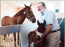 Premature Foals a Priority for Palmer Premature Foals a Priority for Palmer