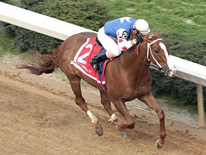 Sharp Razorback 'Cap Win for Jonesboro Sharp Razorback 'Cap Win for Jonesboro
