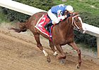 Sharp Razorback 'Cap Win for Jonesboro Sharp Razorback 'Cap Win for Jonesboro