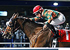 Undefeated Jose Sea View Looks for Nashua Win Undefeated Jose Sea View Looks for Nashua Win