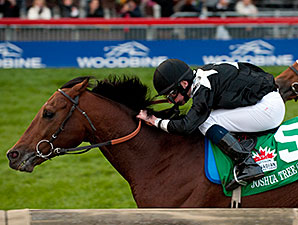 International Hopefuls Try to Spoil Japan Cup International Hopefuls Try to Spoil Japan Cup