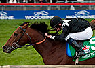 International Hopefuls Try to Spoil Japan Cup International Hopefuls Try to Spoil Japan Cup