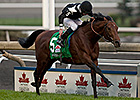 Record Win for Joshua Tree in International Record Win for Joshua Tree in International