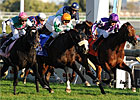 Canadian International: Joshua Tree Hangs On