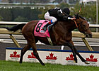 Joshua Tree Reclaims Canadian Int'l Crown