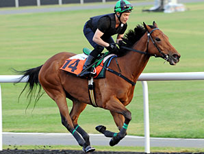 Joy And Fun Back for More in Al Quoz Sprint Joy And Fun Back for More in Al Quoz Sprint