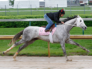 Joyful Victory Posts Bullet Work at Churchill Joyful Victory Posts Bullet Work at Churchill