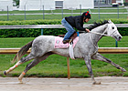 Joyful Victory Stands Out in Mother Goose Joyful Victory Stands Out in Mother Goose