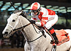 Joyful Victory Chases Grade I in 'Margarita