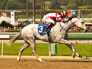Joyful Victory Retired, to be Sold at F-T Joyful Victory Retired, to be Sold at F-T