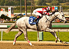 Joyful Victory Retired, to be Sold at F-T Joyful Victory Retired, to be Sold at F-T