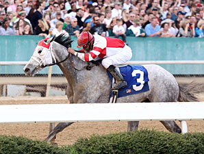 Joyful Victory Buzzes Home in Honeybee Joyful Victory Buzzes Home in Honeybee