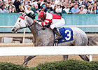 Joyful Victory Buzzes Home in Honeybee Joyful Victory Buzzes Home in Honeybee