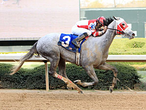 Joyful Victory, Arienza Battle in Fantasy Joyful Victory, Arienza Battle in Fantasy