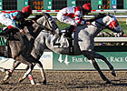 Joyful Victory, Sassy Image Top Gardenia