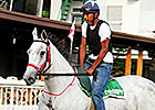 Clasico del Caribe: Local Filly Faces Boys Clasico del Caribe: Local Filly Faces Boys