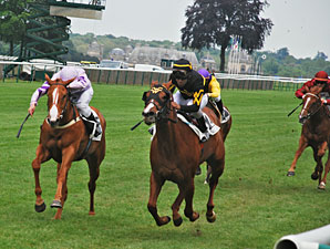 Undefeated Judy the Beauty Tops Spinaway Cast