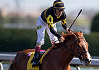Odds-On Judy the Beauty Wins Madison Stakes Odds-On Judy the Beauty Wins Madison Stakes