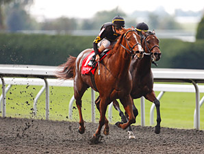 Judy a Beauty in TCA Win; Groupie Doll Third Judy a Beauty in TCA Win; Groupie Doll Third