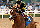 Judy the Beauty Poised for Top Madison Effort Judy the Beauty Poised for Top Madison Effort