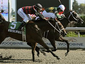 Juliet's Spirit Takes Ontario Debutante Juliet's Spirit Takes Ontario Debutante