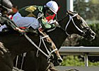 Juliet's Spirit Takes Ontario Debutante