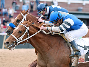 Southwest Stakes to be Run in Divisions Southwest Stakes to be Run in Divisions