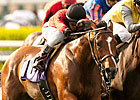 Juniper Pass Ships East for Arlington 'Cap