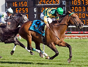 Arlington 'Cap Ends Great for Just as Well Arlington 'Cap Ends Great for Just as Well