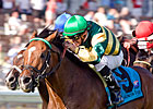 Just as Well Carries Top Weight in Ben Ali