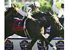 Northern Dancer Inquiry Goes to Just as Well