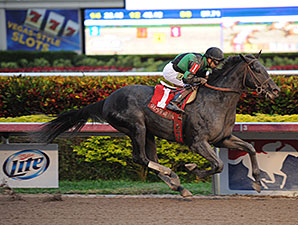 Just Call Kenny Shakes Up Spectacular Bid Just Call Kenny Shakes Up Spectacular Bid