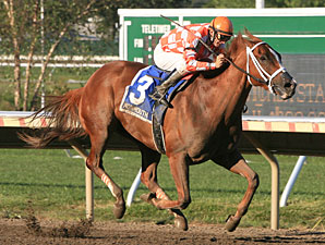 In Final Start, Just Jenda Tops Malibu Prayer In Final Start, Just Jenda Tops Malibu Prayer
