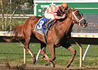 In Final Start, Just Jenda Tops Malibu Prayer In Final Start, Just Jenda Tops Malibu Prayer